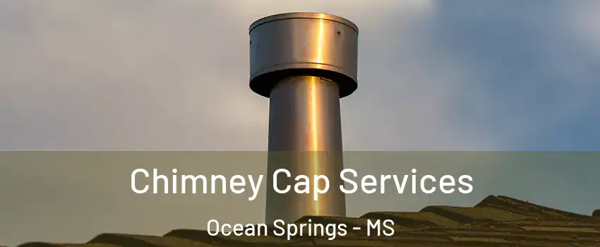  Chimney Cap Services Ocean Springs - MS