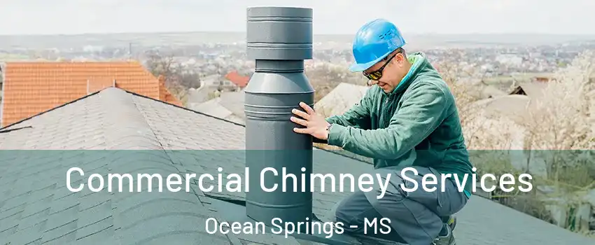  Commercial Chimney Services Ocean Springs - MS