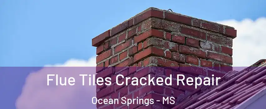  Flue Tiles Cracked Repair Ocean Springs - MS